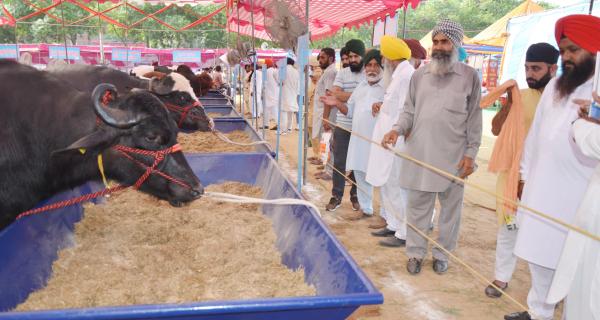 Farmers visited the Pashu Palan Mela Stalls on 20-9-2018